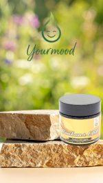 Bonbons CBD Gingembre