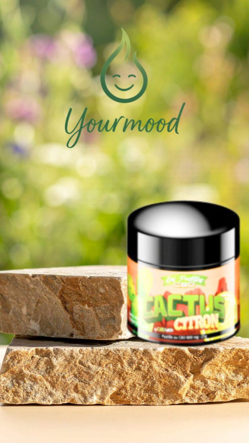 Pastilles CBD Cactus