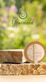 Thé Bio Etoile du soir