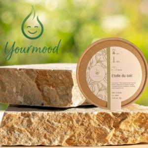 Thé Bio Etoile du soir