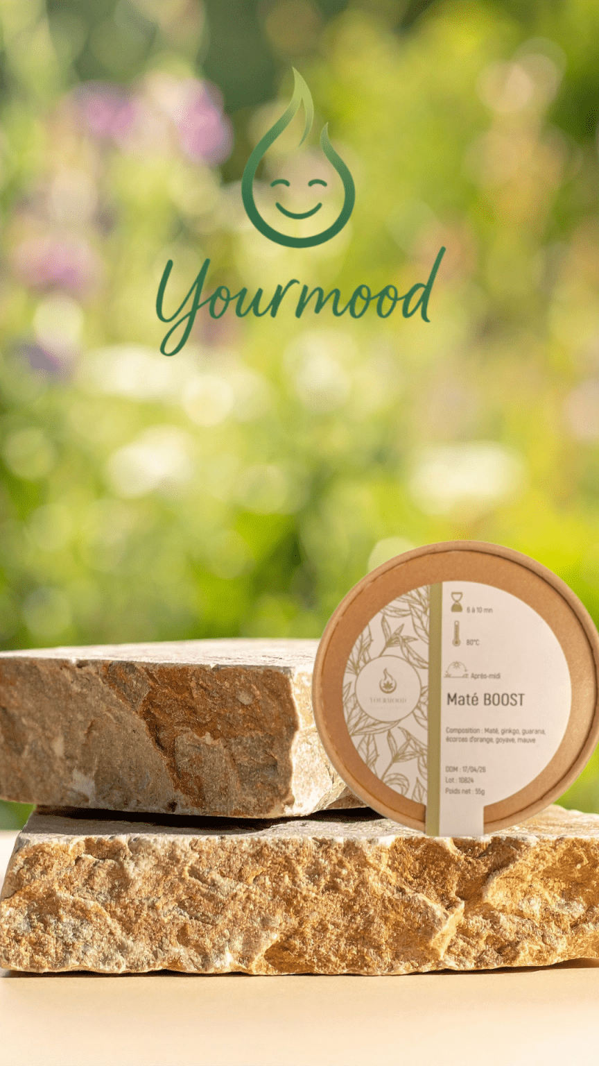Thé Bio Maté Boost