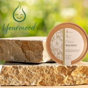 Thé Bio Maté Boost