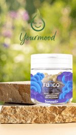 Gélules sommeil+ CBD et FUNGO