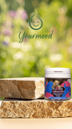 Gélules sommeil CBD et FUNGO