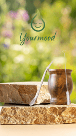 Kit Yerba Maté Inox