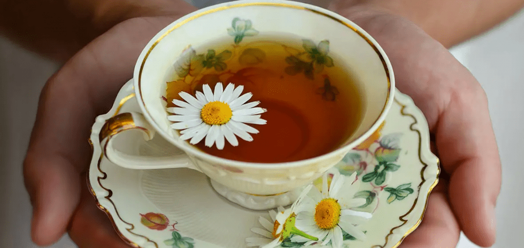 plan rapproché sur des mains versant une tisane, ambiance chaleureuse et naturelle.