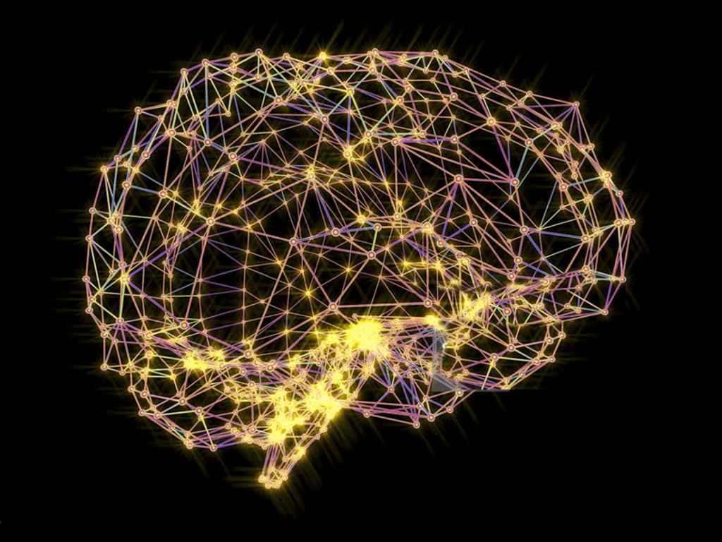 schéma stylisé illustrant la connexion cerveau-corps, ambiance épurée et naturelle.