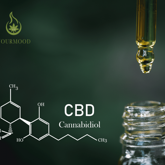 Qu'est-ce que le CBD ? selon yourmood